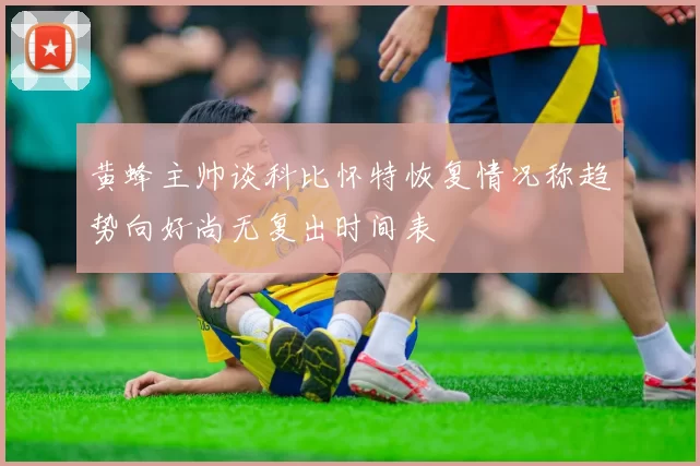 黄蜂主帅谈科比怀特恢复情况称趋势向好尚无复出时间表