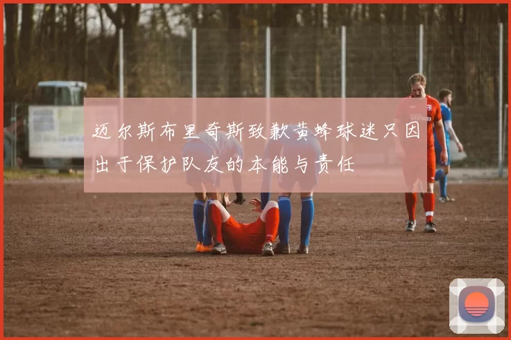 迈尔斯布里奇斯致歉黄蜂球迷只因出于保护队友的本能与责任