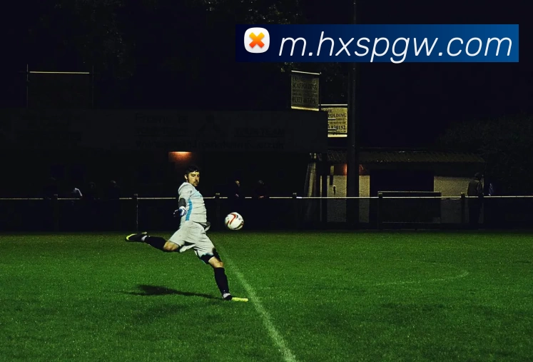 海星体育官网发展历程